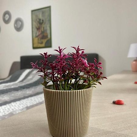 Cozy Apartment Ladybug, Sarajevo Eksteriør bilde