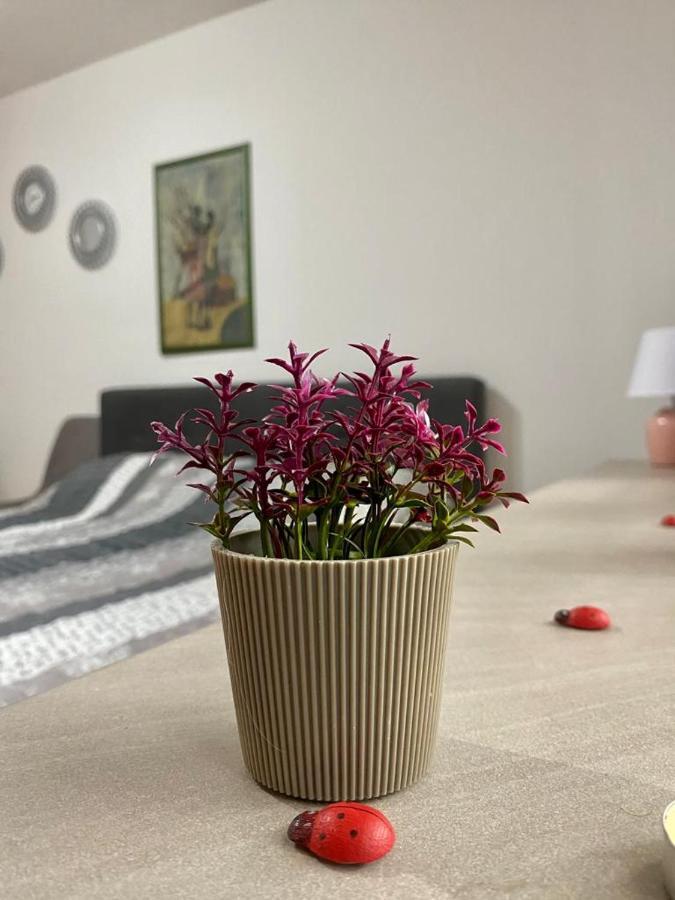 Cozy Apartment Ladybug, Sarajevo Eksteriør bilde